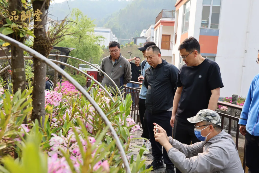 浇灌科技花，结出产业果 | 云南大学生命科学学院丁章贵博士到品斛堂开展农业科技对接和合作交流活动